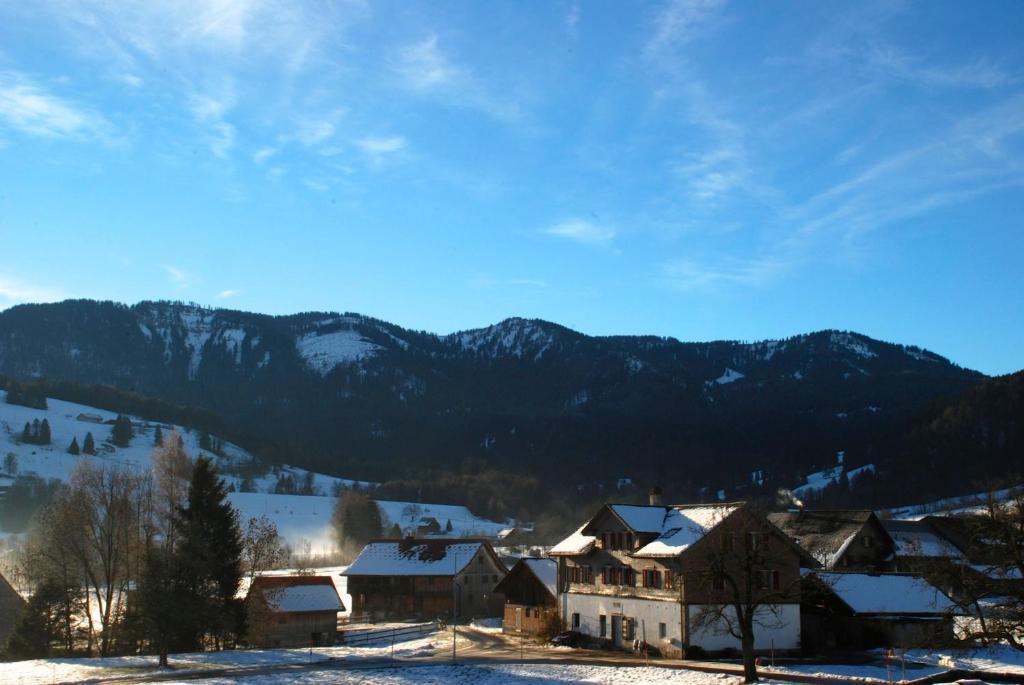 Naturnoech
